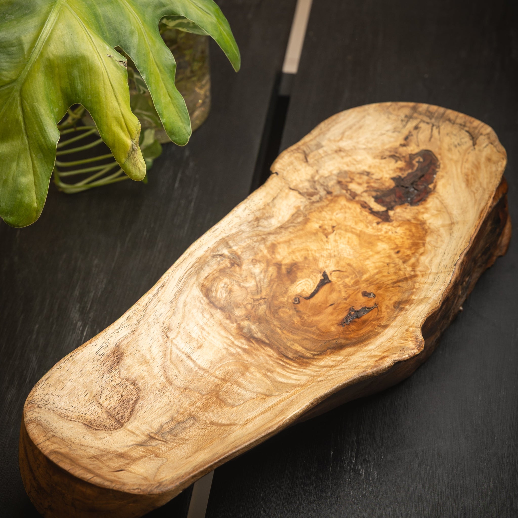 CUENCOS DE MADERA RAÍCES