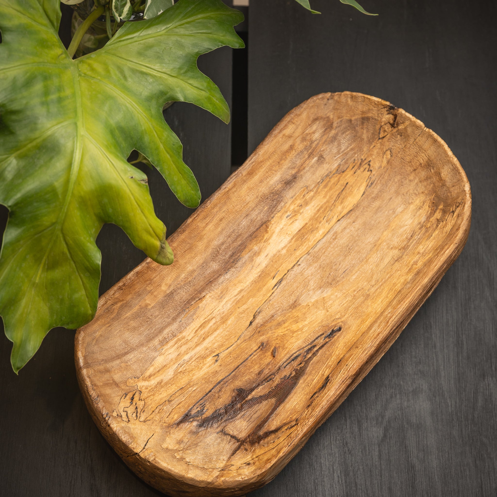 CUENCOS DE MADERA HOVENIA