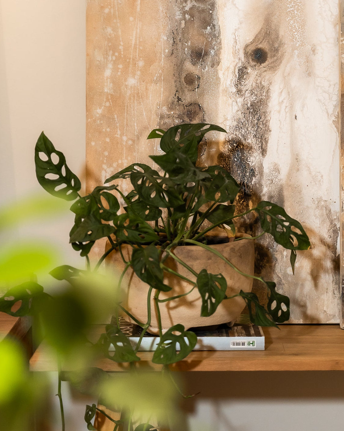 PORTA MACETA TIPO CUENCO DE CERÁMICA